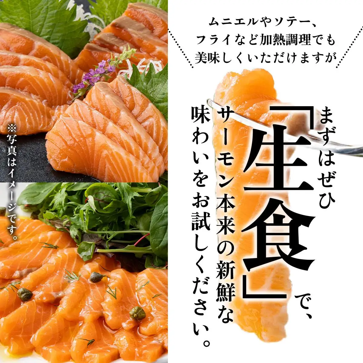 アトランティックサーモン 刺身用柵 900g（養殖）