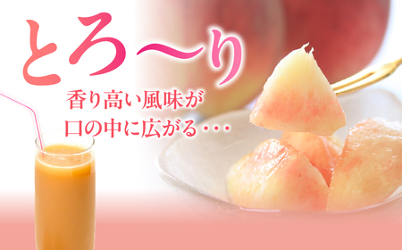 山梨県産　桃100％ジュース ALPFC001