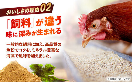 〈数量限定〉【朝採れ直送】小峰鶏園 赤たまご Lサイズ 60個 / 卵 玉子 たまご 卵焼き 玉子焼き 生卵 鶏卵 卵かけごはん / 諫早市 / 小峰鶏園 [AHFB001]