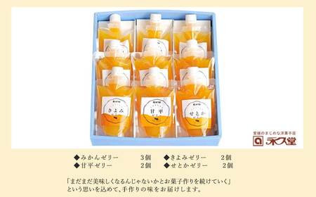 フルーツゼリー ちゅるちゅるゼリー 柑橘 4種 合計9個 セット みかん 甘平 きよみ せとか 柑橘王国愛媛 永久堂