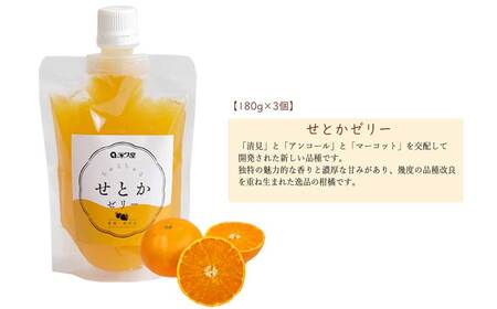 フルーツゼリー ちゅるちゅるゼリー 柑橘 3種 合計9個 セット みかん きよみ せとか 柑橘王国愛媛 永久堂