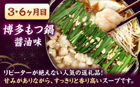 【全6回定期便】【ご家庭用】 もつ鍋3種定期便（明太・味噌・醤油）3人前 桂川町/株式会社 海千 [ADAR037] もつ鍋 鍋セット 定期便