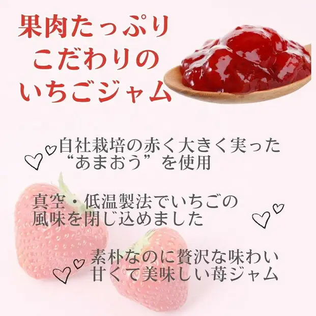 3種類のいちごジャム 無添加 あまおうイチゴ 200g×3袋 手作り 国産 チューブ パウチ入り | 食品 加工食品 人気 おすすめ 送料無料
