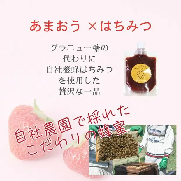 いちごジャム 無添加 あまおうとハチミツのジャム 200g×3袋 手作り 国産 チューブ パウチ入り | 食品 加工食品 人気 おすすめ 送料無料