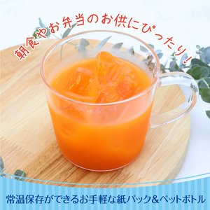 【10営業日以内発送】伊藤園 充実野菜 緑黄色野菜ミックス 紙パック 200ml 48本  スピード発送　023-G-IT012