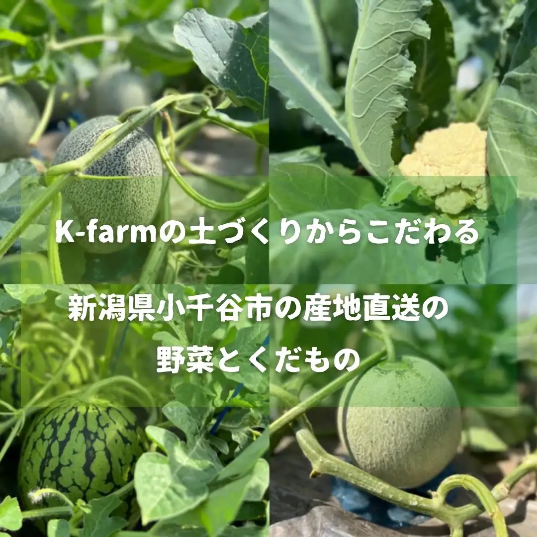 K-farmのこだわりメロン 5種類の中から おまかせ 厳選 2玉