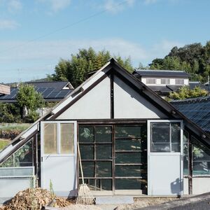 御贈答用 岡山県産 シャインマスカット 2房入り(1.2kg以上) ぶどう ブドウ 葡萄 フルーツ 果物 岡山 瀬戸内市