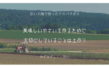 ［武田農園とれたて直送］2026年春～発送 訳あり グリーンアスパラ サイズ混合 約1kg ご家庭用 やわらかくて抜群に甘い！北海道 富良野産 ( アスパラガス アスパラ 野菜 新鮮 産地直送 先行予約 限定 ) 