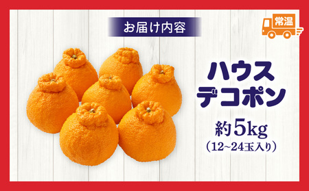 【先行予約】ハウスデコポン約5kg（12－24玉）【香川県共通返礼品】 | デコポン 甘い 酸味 柑橘 柑橘系 果物 フルーツ 青果 デザート グルメ おすすめ 贈答 贈り物 贈答用 ギフト プレゼント 特産品 特産 取り寄せ 香川県 三木町 |_mk006-056