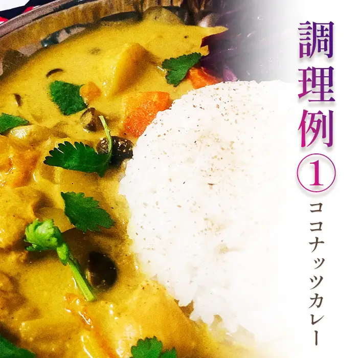 グルテンフリー・無添加　辛くないスパイスカレー粉 ／ カレー カレーパウダー カレースパイス スパイスミックス マイルド 手作り お手軽 レシピ付 美味しい おいしい 小麦粉不使用 油脂不使用 添加物不使用 大阪府 No.169