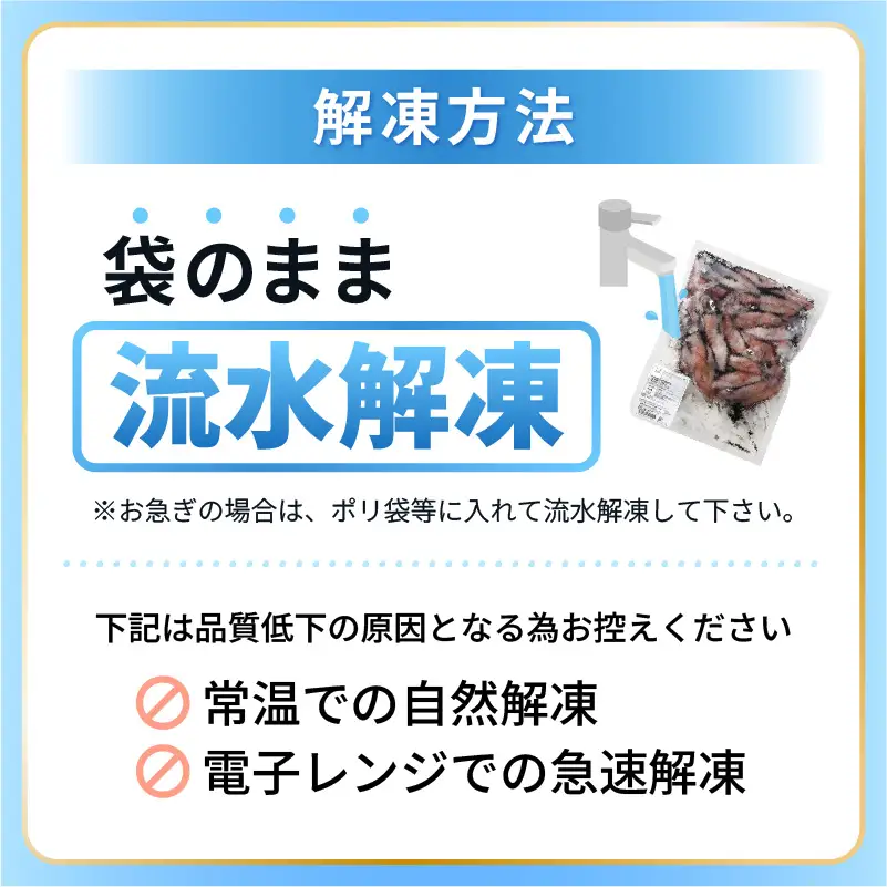 【ふるさと納税】【急速冷凍】【訳あり】生いか 天然ケンサキイカ サイズ無選別 1kg（500g × 2袋） [e15-a062]