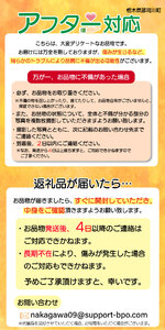 【先行予約】スカイベリー＆とちあいか 食べ比べ 300g×2 | 栃木県 那珂川町 