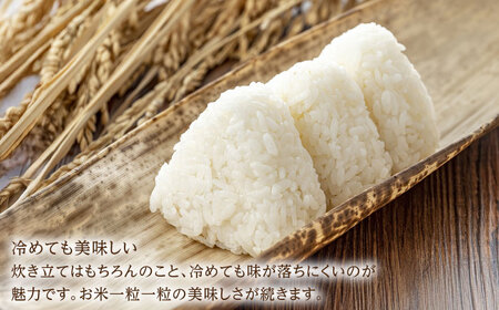 令和7年産 ゆめしずく5kg 白米 / 佐賀県 白米 [41AGAC002]