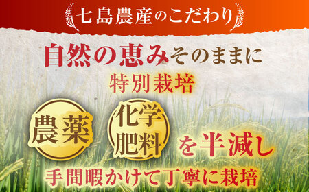 【全5回定期便】令和7年産 ななしま家 コシヒカリ 5kg / 白米 特別栽培 白米 / 佐賀県 / 有限会社七島農産 [41AHAC007]