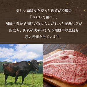 「百年の恵み おおいた和牛 」A5 ロースステーキ用 200g × 1枚 × 3ヶ月   定期便 おおいた和牛 ロースステーキ A5等級 黒毛和牛大分県産 牛肉 高級肉 霜降り 和牛ステーキ 風味豊か 脂質 種雄牛 血統 高評価 冷凍