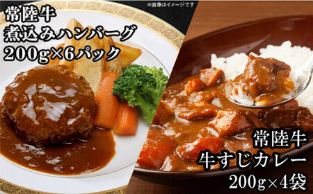【 定期便 】【 全12回 】 すずらんご馳走定期便 （ 12ヶ月連続でお届け ）【 高級 贅沢 ハンバーグ ローストビーフ ローストチキン もつ煮 もつ鍋 サラダチキン 定期便 牛肉 肉 】