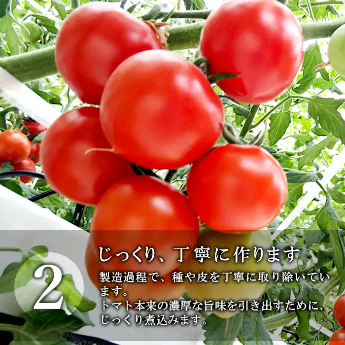 金賞受賞！トマト農家さんの無添加トマトジュース 濃厚＆すっきり 飲み比べセット 大瓶2本 野菜ジュース トマト 健康