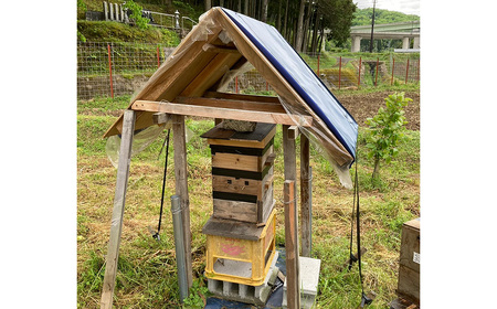 貴重！豊岡市産、日本ミツバチのはちみつで作った はちみつ生姜 150ml / はちみつ 国産 蜂蜜 ハチミツ 兵庫県産 こうのとり生姜 日本ミツバチ ショウガオール お湯割り 炭酸割り はちみつジンジャースカッシュ 温活 しょうが ショウガ 生姜 ジンジャー