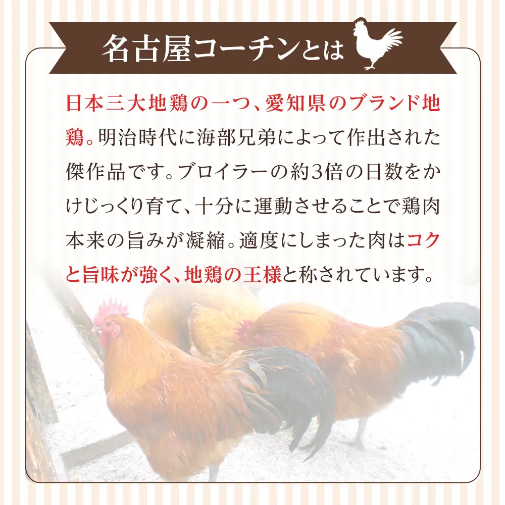 名古屋コーチン100％使用 無添加 犬用おやつ ３種セット ささみ＆ささみと（かぼちゃ・にんじん）＆ささみと（さつまいも・にんじん）手作り×各1個セット【はなぶさ精肉店】