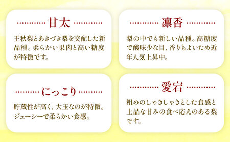 【2026年先行予約】おまかせ梨 秀品 約10kg 日本フルーツ《8月上旬-10月上旬頃出荷》熊本県 長洲町 なし 梨 果物 フルーツ デザート ギフト ご贈答