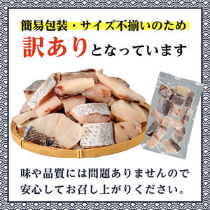  ＜ 訳あり ＞ 骨取り 白身魚 切身 (計1.2kg) ニベ にべ 魚 切り身 小分け 弁当 お弁当 おかず フライ 冷凍 定期 定期便 【opbe005】【水元】