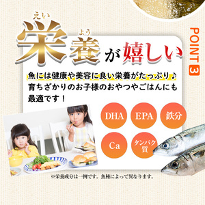 ＜ 訳あり ＞ 大分県産 ひもの屋さんの 白身魚 フライ (計1.2kg・10切×3袋) おかず おつまみ 惣菜 お弁当 揚げるだけ 小分け フライ 国産 大分県産 冷凍 魚【AQ99】【やまろ渡邉】