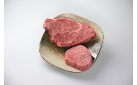 Y529 鳥取和牛ヒレと希少部位のステーキセット1.5kg（ヒレ4枚 計500g、希少部位ステーキ8枚 計1kg）