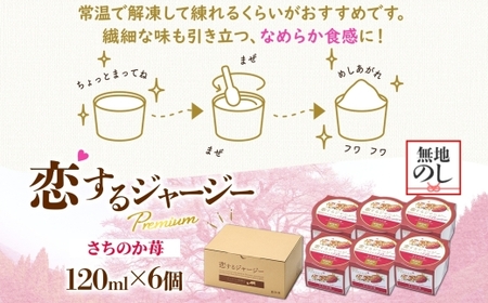 【ジェラート醍醐桜】【熨斗】恋するジャージーPremiumさちのか苺6個セット / 岡山 真庭 【nhss007n-01】