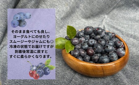 【軽井沢の農家】 遠山農園より直送！ 冷凍ブルーベリー 1.5kg （750g×2パック） 農家直送 軽井沢産 冷凍 ブルーベリー 遠山農園 軽井沢農家 国産