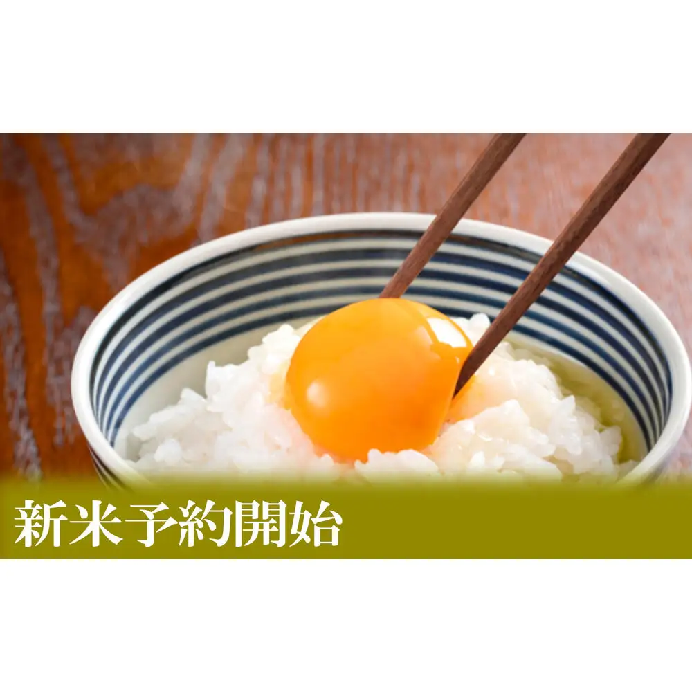 【令和8年産　新米予約】定期便３ヶ月【無洗米】10kg南魚沼しおざわ産コシヒカリ【定期便 銘柄米 ブランド米 無洗米 こしひかり コシヒカリ 魚沼産 新潟米 ごはん】【2026年10月上旬から1ヶ月以内に順次発送予定】