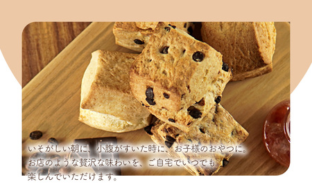 国産発酵バター仕込み濃厚リッチな九州産生クリームスコーン クルミチョコ7個セット | お菓子 菓子 おかし 洋菓子 焼き菓子 イギリス菓子 チョコスコーン クルミ おやつ デザート スイーツ 手作り ティータイム アフタヌーンティー 大分県 中津市 送料無料