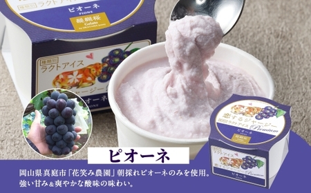 【ジェラート醍醐桜】【熨斗】恋するジャージーPremium2種 （ゴールデンミルク＆ピオーネ）計8個セット / 岡山 真庭 【nhss030n-01】