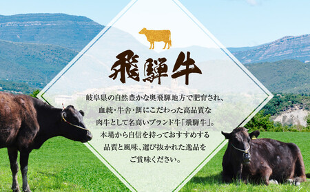 ちょっとリッチな飛騨牛（希少部位）約2.4kg 【2月・5月・8月・11月発送】定期便 4回 | みすじ ウデ すき焼き しゃぶしゃぶ  希少部位 600g 和牛 国産牛 冷凍 飛騨高山 飛騨牛のこもり FC106