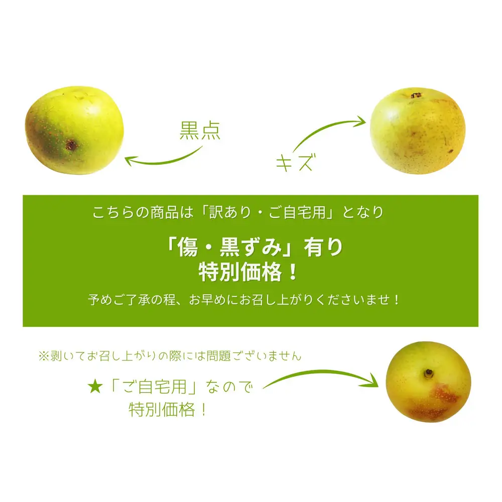 数量限定 鳥取県産 梨 訳あり ご自宅用 二十世紀梨 5kg