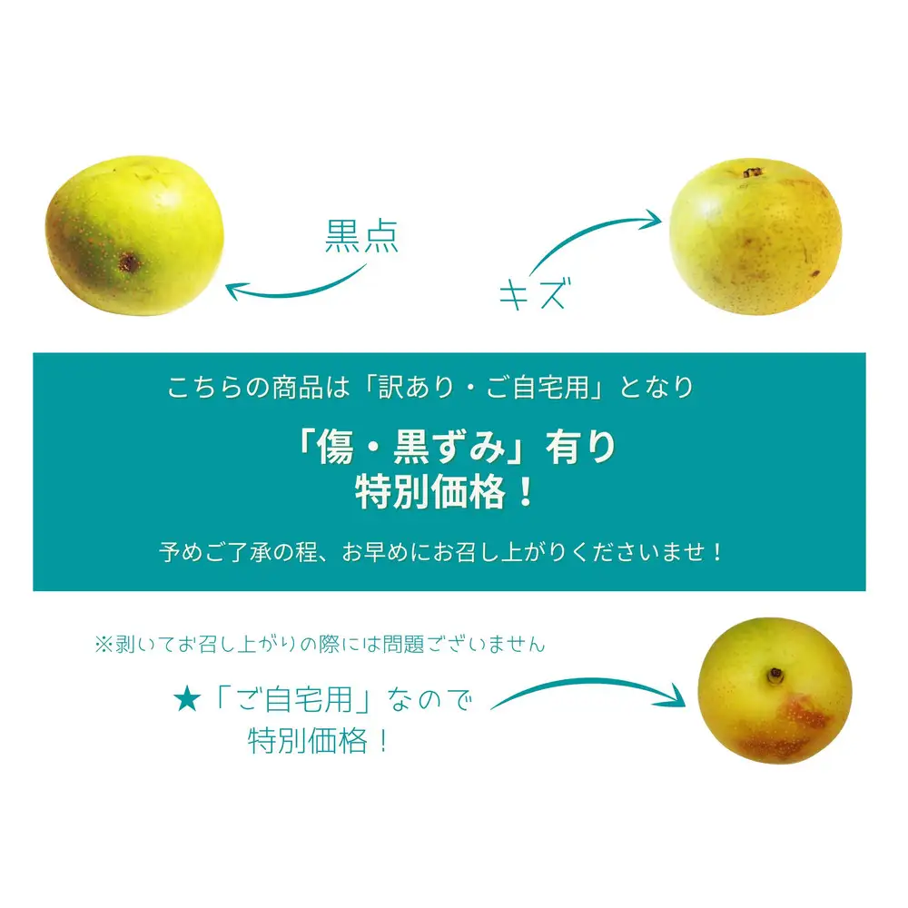 数量限定 鳥取県産 梨 訳あり ご自宅用 なつひめ 5kg|梨 なし