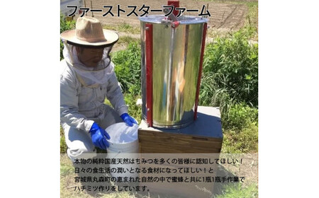 丸森町産純粋 生はちみつ「心」140g×5個【13103】