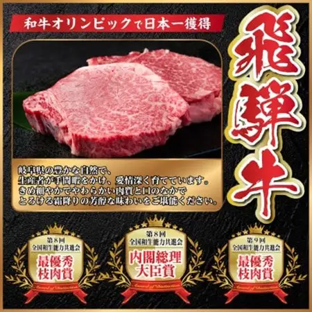 【2ヵ月毎定期便】飛騨牛 シャトーブリアン1.2kg【冷蔵便】A4～A5等級 黒毛和牛 贈答用全3回【配送不可地域：離島】【4070278】