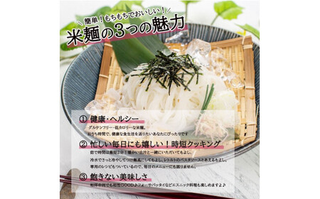 つるもち食感！グルテンフリー米麺 詰め合わせ20食（精米・玄米 各10食ずつ）【25101】