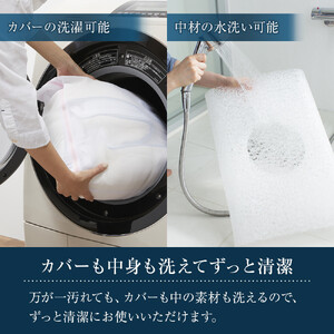 ★TBSテレビ系列「ひるおび」で取り上げられました！★ エアウィーヴ キャリークッションmini