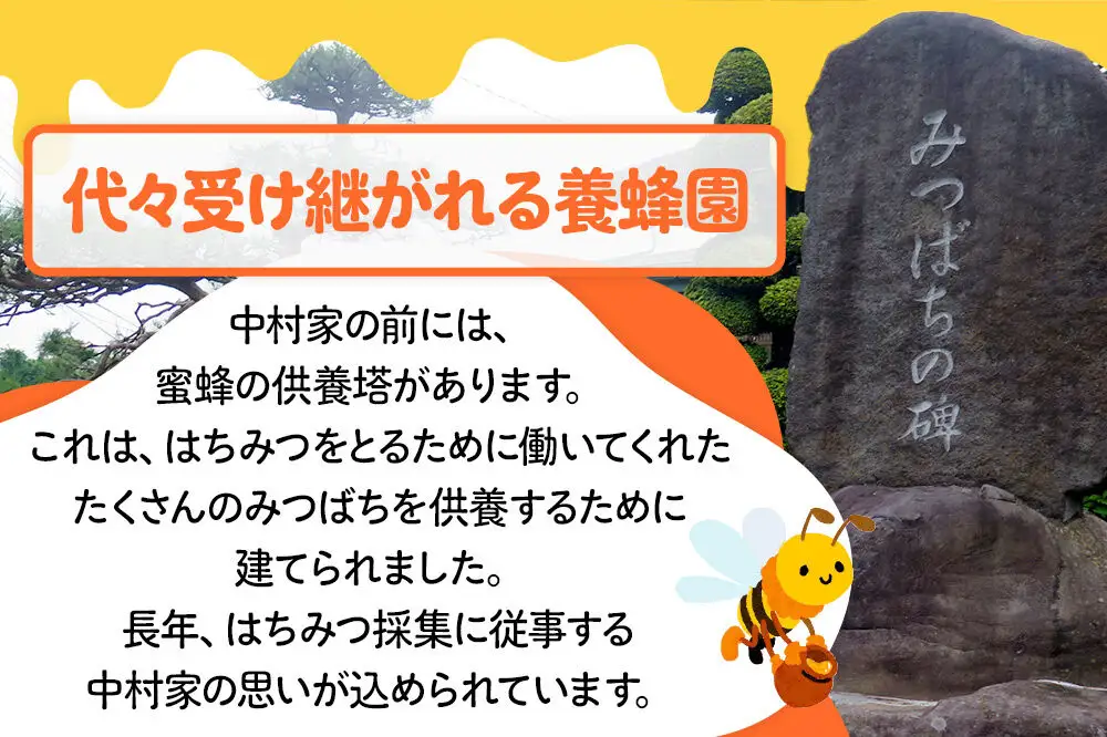 沼田市産アカシア蜜 500g×1本 中村養蜂園
