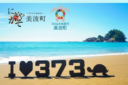 日和佐うみがめ博物館カレッタ入館年間パス　【大人１名分】