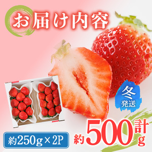 ＜先行予約受付中！2026年12月上旬以降に順次発送予定＞ 博多あまおう・冬 (計約500g) いちご 苺 フルーツ 果物 くだもの 福岡限定 家庭用 冷蔵＜離島配送不可＞【ksg1736】【農産物直売所ほたるの里】