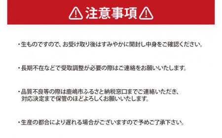 【先行予約】 シャインマスカット 2房 (大粒600g以上/房) 
