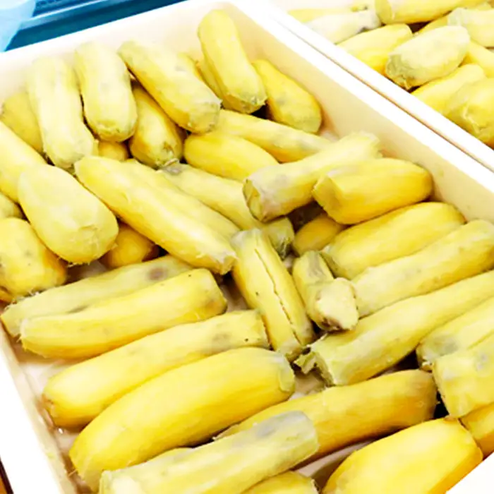 坂東市産　干し芋　紅はるか　100g×5パック No.858