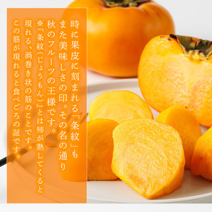 ＜先行予約受付中！2026年10月下旬～11月下旬に順次発送予定＞秋のフルーツの王様・ブランド柿 秋王 (計約3.5kg：6個～14個入り) かき カキ フルーツ 果物 くだもの 福岡限定 オリジナルブランド ＜離島配送不可＞【ksg1753】【農産物直売所ほたるの里】