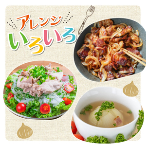 【京都府産】玉ねぎ 10㎏