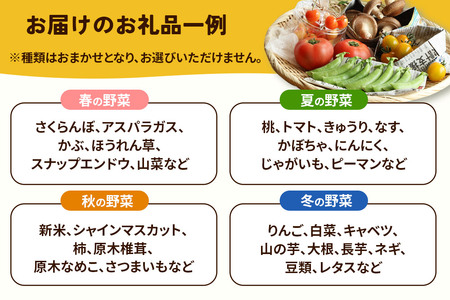 【定期便 3ヶ月】旬のお野菜セット 秋田県 由利本荘市産 栽培期間中農薬不使用 減農薬