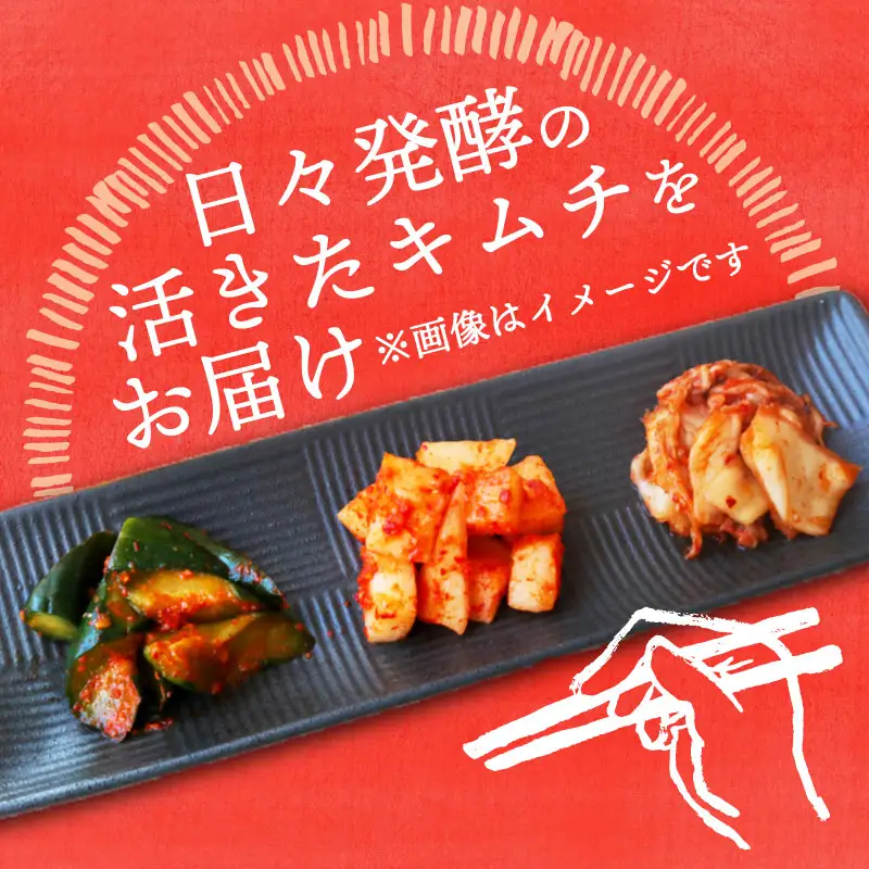 【土佐キムチ きゅうり】 きゅうりキムチ 300g×3パック 無添加 自然派  ポリポリ キムチ 漬物 発酵 きゅうり キムチ 手作り てづくり 韓国 高知県 南国市 