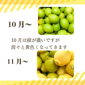 【2026年10月発送】　レモン 5kg 秀品  国産 檸檬 ワックス不使用 防腐剤不使用 