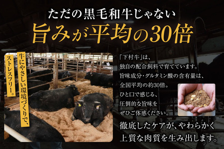 【訳アリ・不揃い】東浦町産黒毛和牛『下村牛』あかみステーキ 4枚（800g）